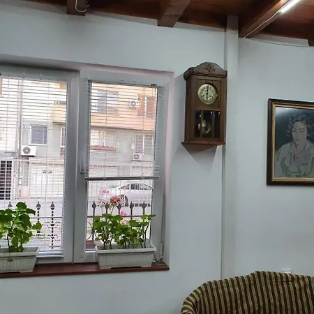 Modern And Old Apartment Sofia